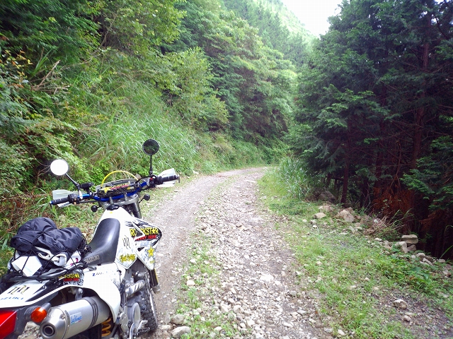 樫ノ木峠林道